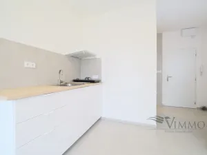 Pronájem bytu 1+kk, České Budějovice - České Budějovice 3, Plzeňská, 20 m2
