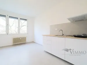 Pronájem bytu 1+kk, České Budějovice - České Budějovice 3, Plzeňská, 20 m2