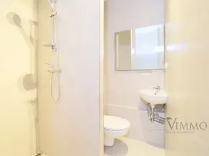 Pronájem bytu 1+kk, České Budějovice - České Budějovice 3, Plzeňská, 20 m2