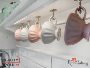 Prodej ubytování, Roprachtice, 460 m2