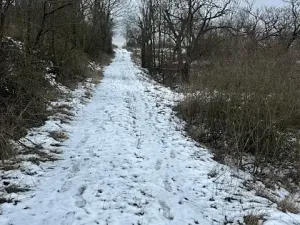 Prodej zahrady, Hustopeče, 4050 m2