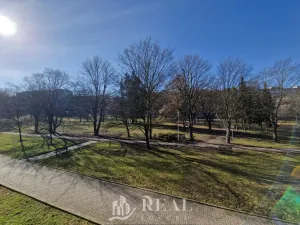 Prodej bytu 2+kk, Most, Jiřího Wolkera, 39 m2