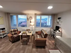 Pronájem bytu 1+kk, Litoměřice - Předměstí, Revoluční, 35 m2