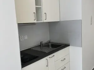 Pronájem bytu 1+kk, Brno, Křenová, 25 m2