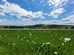 Prodej chaty, Zvánovice, Lipová, 60 m2