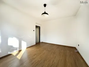 Pronájem bytu 1+1, Ústí nad Labem - Střekov, Tolstého, 33 m2