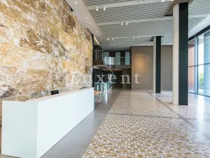 Pronájem obchodního prostoru, Praha - Nusle, Lomnického, 44 m2