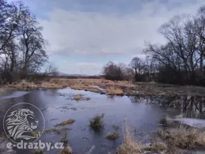 Dražba pozemku, Janovice nad Úhlavou, 4609 m2