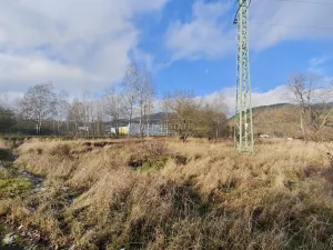 Prodej komerčního pozemku, Hroznětín, Nádražní, 7451 m2