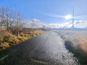 Prodej komerčního pozemku, Hroznětín, Nádražní, 7451 m2