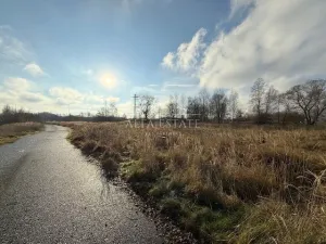 Prodej komerčního pozemku, Hroznětín, Nádražní, 7451 m2