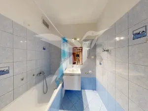 Pronájem bytu 1+1, Plzeň, Pod Lesem, 50 m2