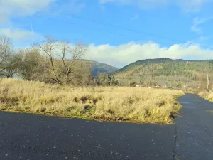 Prodej komerčního pozemku, Hroznětín, Nádražní, 7179 m2