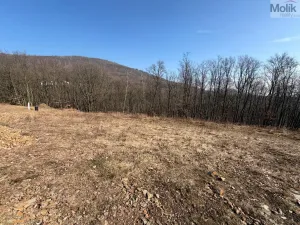 Prodej pozemku pro bydlení, Lom, Alšova, 2648 m2