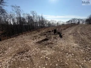 Prodej pozemku pro bydlení, Lom, Alšova, 2648 m2