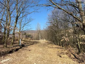 Prodej pozemku pro bydlení, Lom, Alšova, 2648 m2