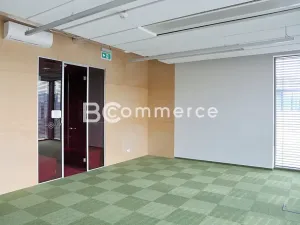 Pronájem kanceláře, Brno, 600 m2