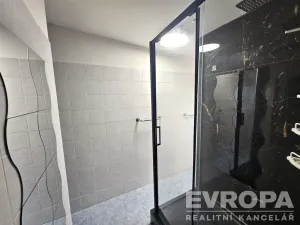 Pronájem bytu 4+kk, Praha - Nusle, U Jedličkova ústavu, 140 m2