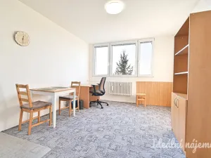 Pronájem bytu 1+kk, Brno, Halasovo náměstí, 23 m2