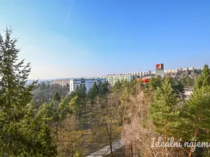 Pronájem bytu 1+kk, Brno, Halasovo náměstí, 23 m2