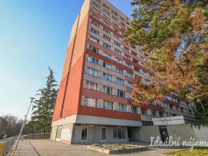 Pronájem bytu 1+kk, Brno, Halasovo náměstí, 23 m2