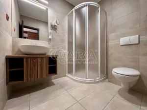 Pronájem bytu 1+kk, Brno, Křivánkovo náměstí, 21 m2