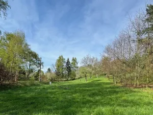 Prodej pozemku pro bydlení, Žandov - Radeč, 3412 m2