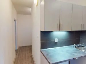 Pronájem bytu 1+1, Ostrava - Výškovice, 29. dubna, 35 m2