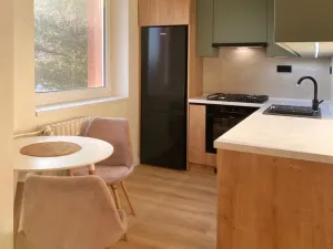 Pronájem bytu 1+kk, Nový Jičín, Gregorova, 38 m2