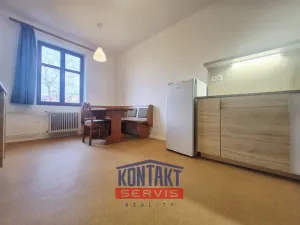 Pronájem bytu 1+1, České Budějovice, Čechova, 38 m2