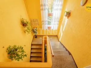 Prodej zemědělské usedlosti, Holasovice, 410 m2