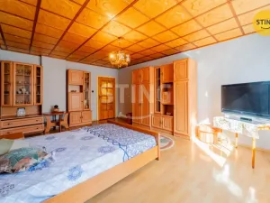 Prodej zemědělské usedlosti, Holasovice, 410 m2