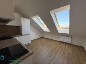 Prodej bytu 2+kk, Praha, Seifertova, 40 m2