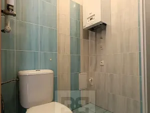 Pronájem bytu 1+kk, České Budějovice, Lipenská, 33 m2