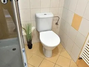 Pronájem bytu 1+kk, Brno - Zábrdovice, Tkalcovská, 32 m2