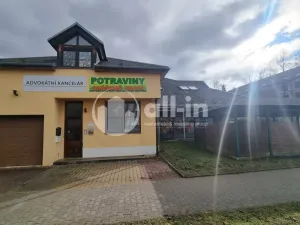 Pronájem obchodního prostoru, Vyškov - Brňany, Palánek, 252 m2