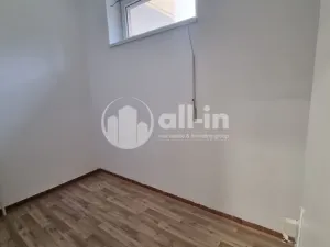 Pronájem obchodního prostoru, Vyškov - Brňany, Palánek, 252 m2