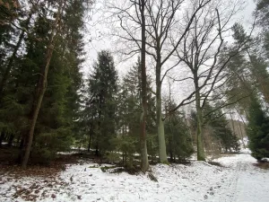 Prodej pozemku, Veliny, 180 m2