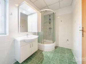 Prodej bytu 3+1, Svatava, Sládkova, 75 m2