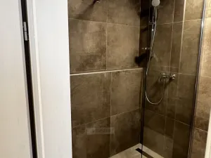 Pronájem bytu 1+kk, České Budějovice, Chelčického, 47 m2