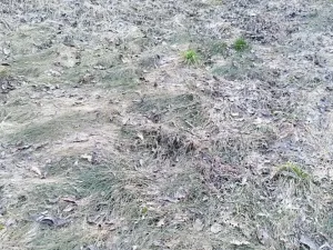 Pronájem zahrady, Dětkovice, 581 m2