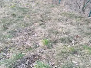 Pronájem zahrady, Dětkovice, 581 m2