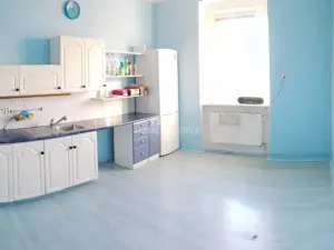 Prodej bytu 2+1, Cheb, Americká, 85 m2