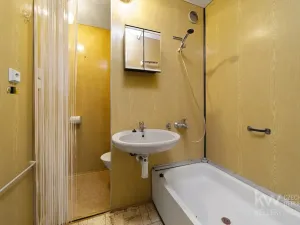 Prodej bytu 1+kk, Horní Bříza, U Vrbky, 22 m2