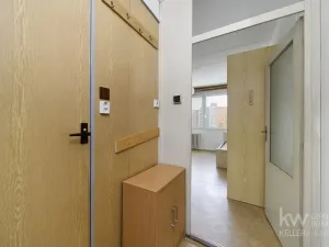 Prodej bytu 1+kk, Horní Bříza, U Vrbky, 22 m2