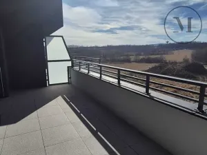 Pronájem bytu 2+kk, České Budějovice, Branišovská, 57 m2