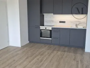 Pronájem bytu 2+kk, České Budějovice, Branišovská, 57 m2