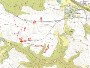 Prodej pole, Hořice, 32824 m2