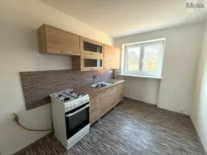 Pronájem bytu 2+1, Most, Konstantina Biebla, 59 m2