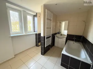 Pronájem bytu 2+1, Most, Konstantina Biebla, 59 m2